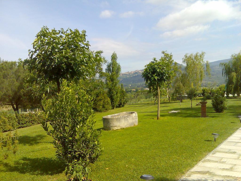 Agriturismo Podere Ossaia Cortona Szoba fotó